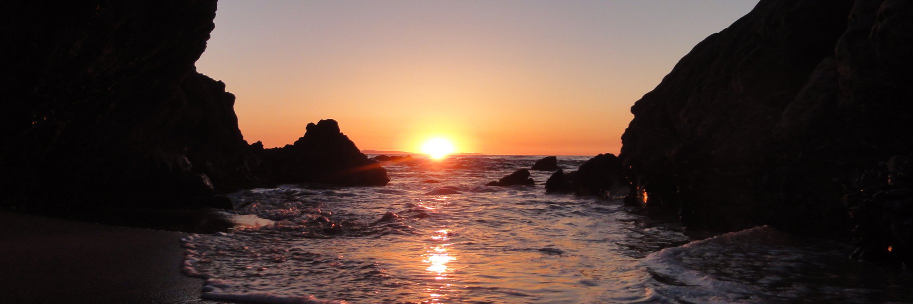 OrganicFreak's profile banner image