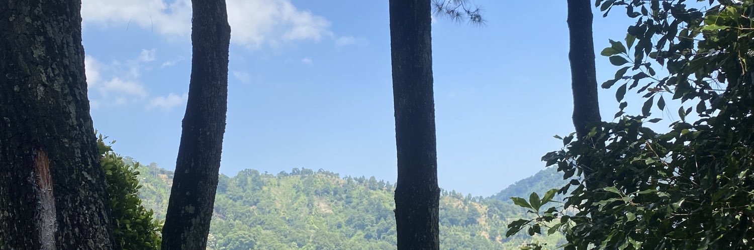 adeliahr's profile banner image