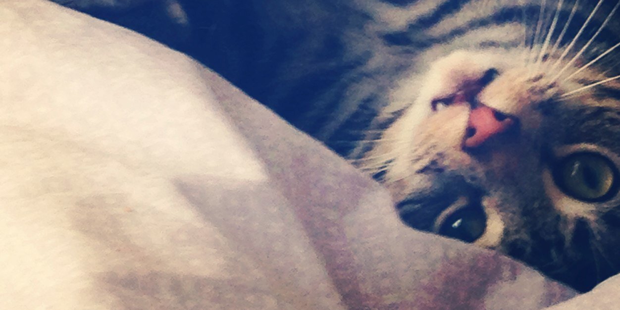 Samantha Hewlett banner