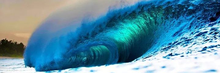 dolphin5120's profile banner image