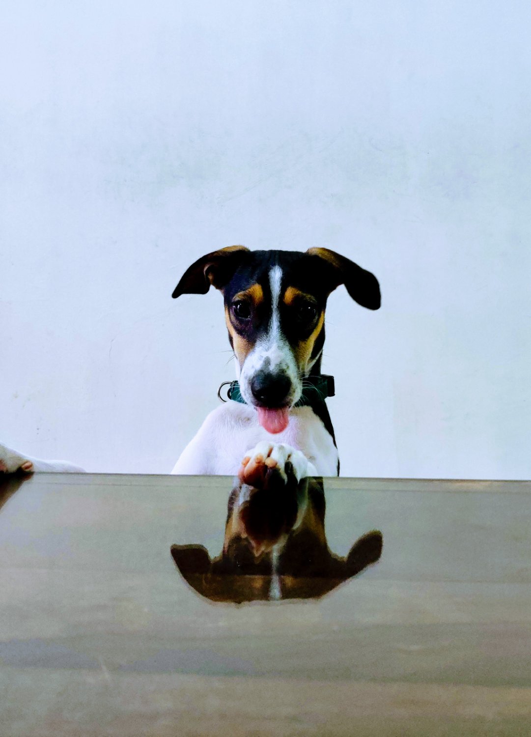 Divya Ganesan banner