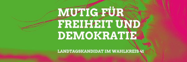 VaLippmann Profile Banner