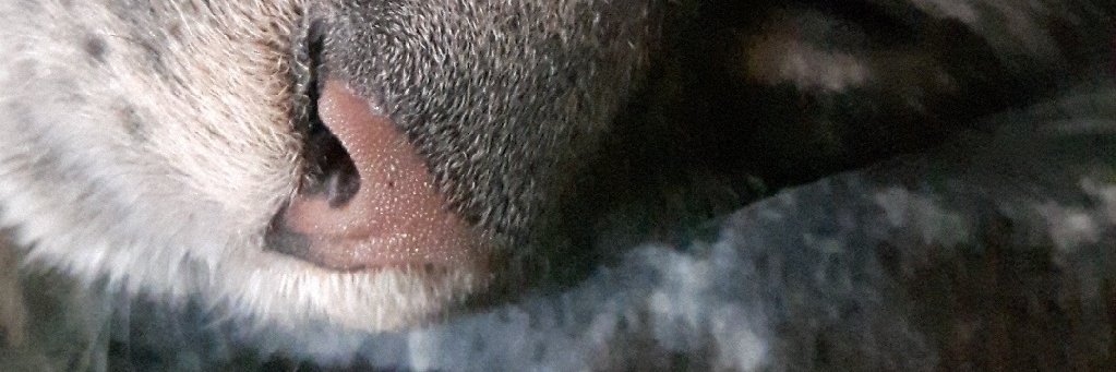 DevistatorXL's profile banner image