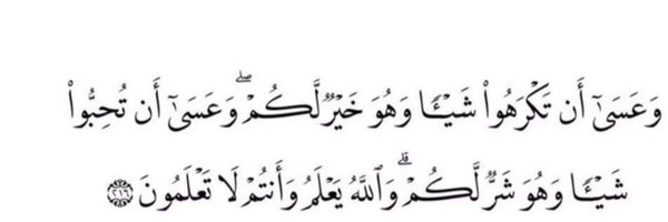 hsr_64 Profile Banner