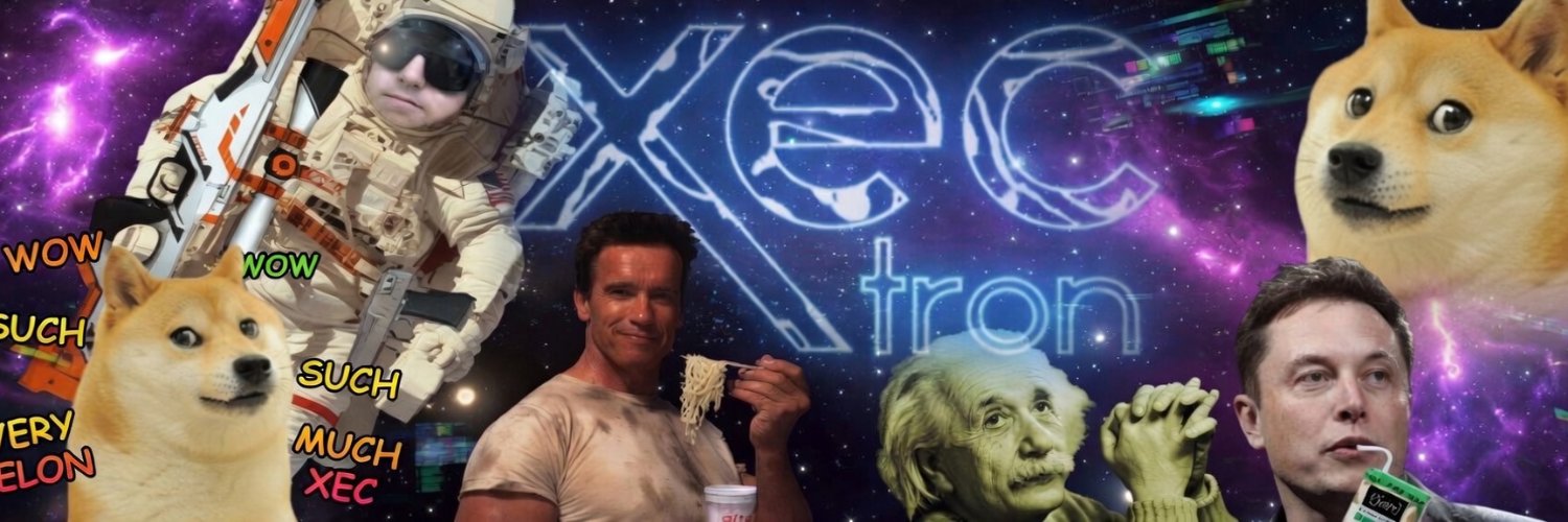 Xectron's profile banner image