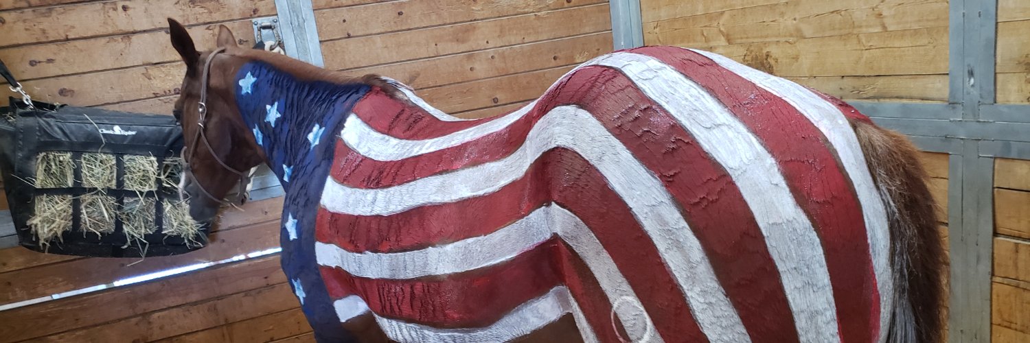 Ahawkalypse's profile banner image