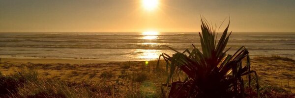 MilkyEngineer Profile Banner