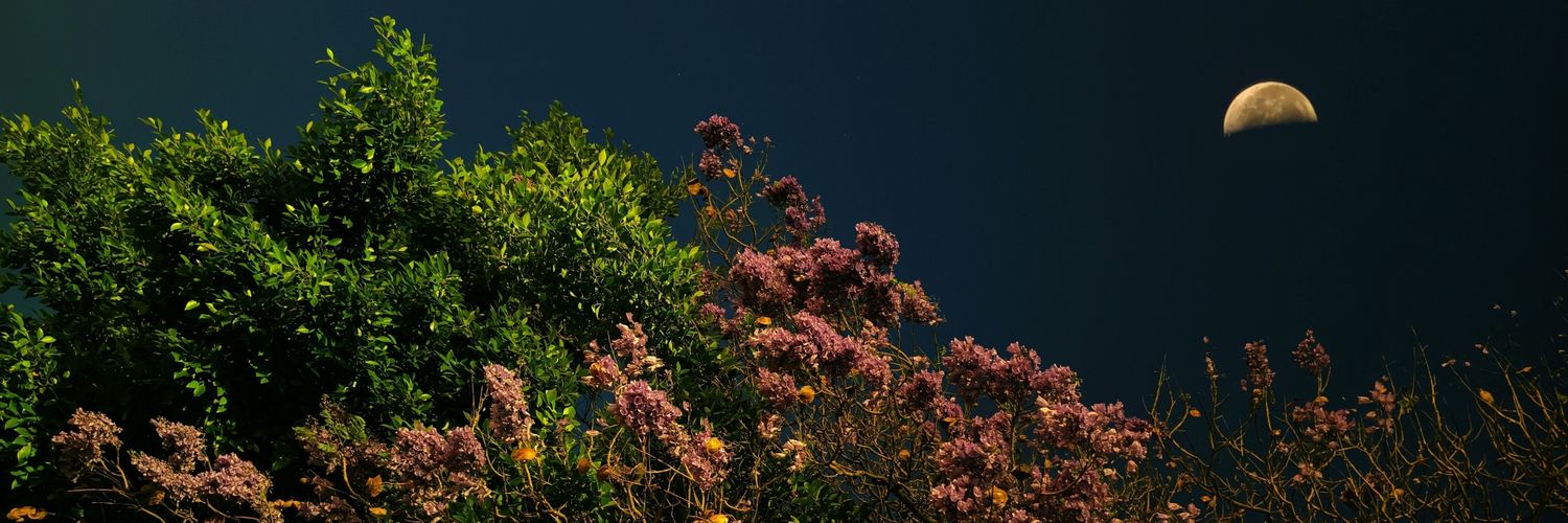 linkzier's profile banner image