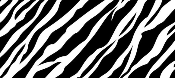 cyjvoraoo's profile banner image