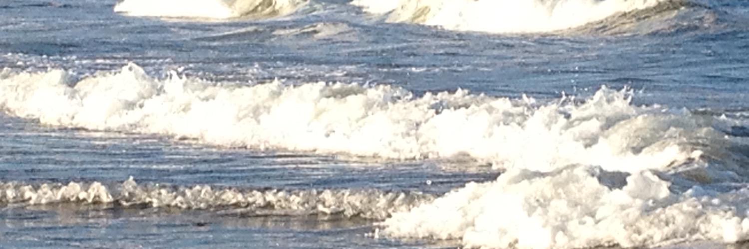 Dianedoh's profile banner image