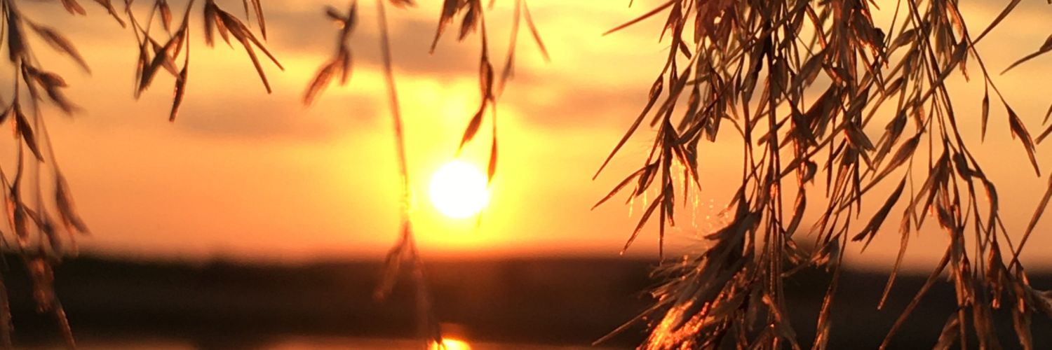 Ellah Scott banner