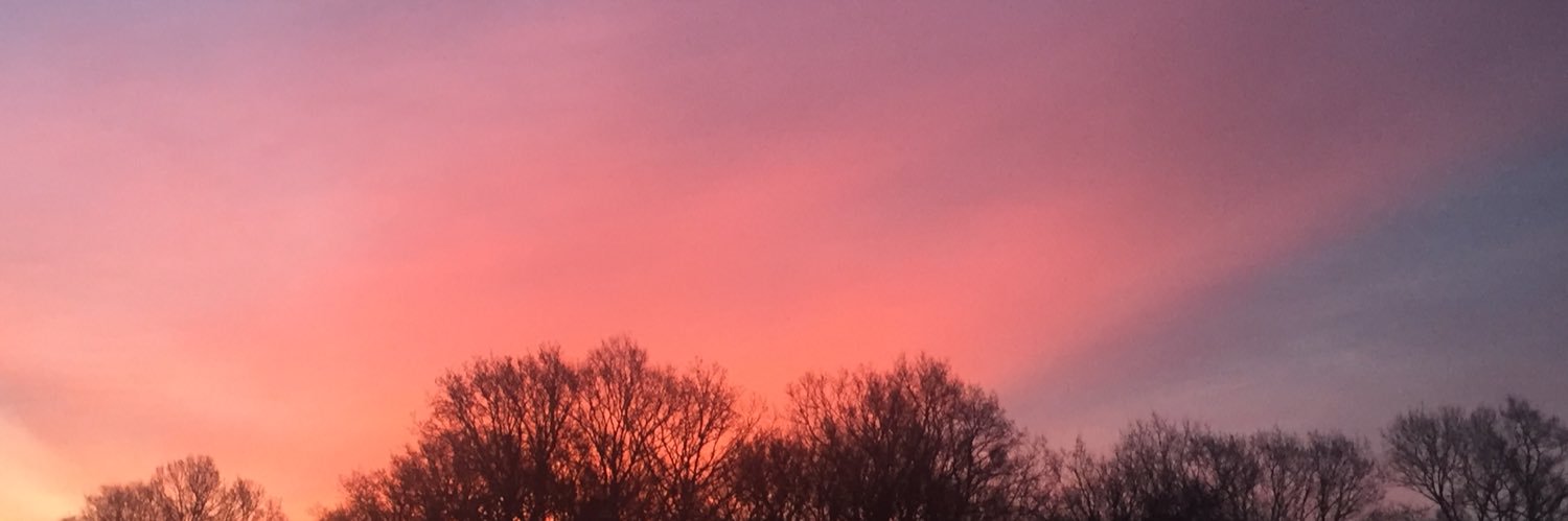 carysjones6's profile banner image