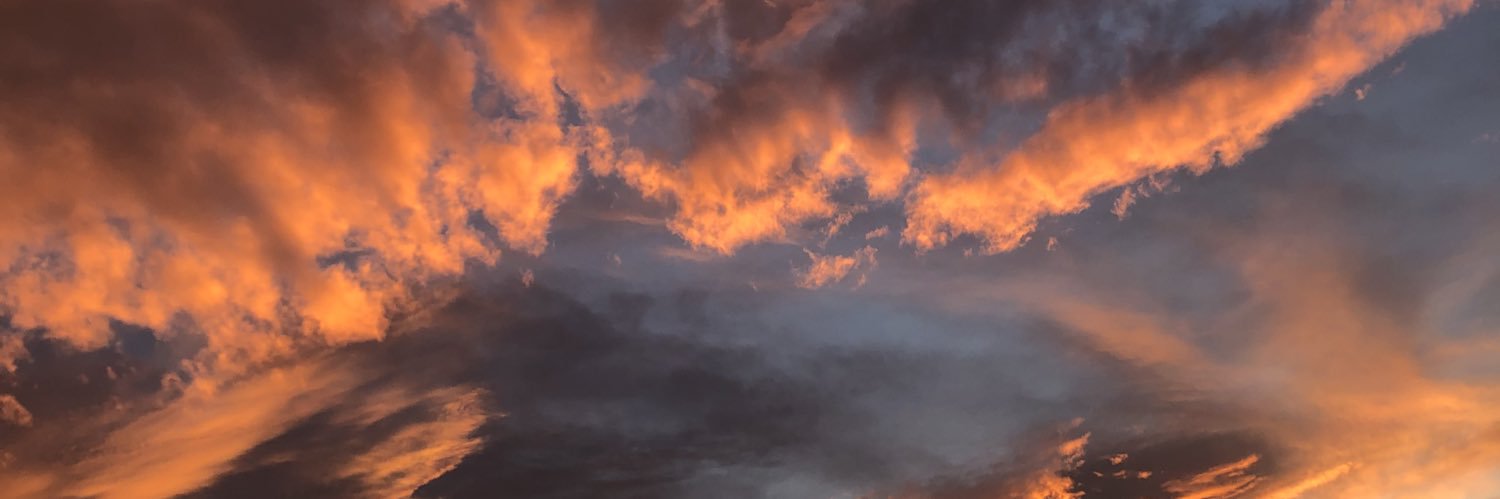 Dasaligocka's profile banner image