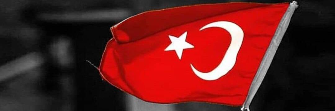 selehattinb's profile banner image