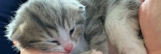 esther_wonink's profile banner image