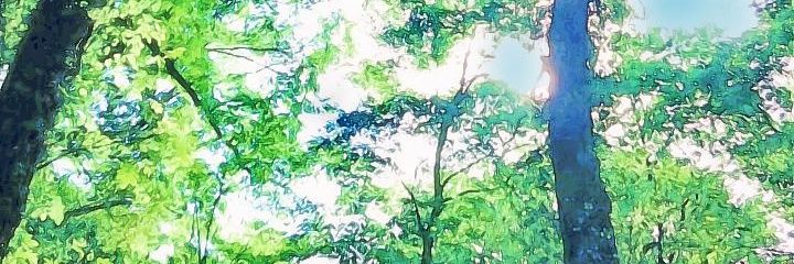 takassidassi's profile banner image