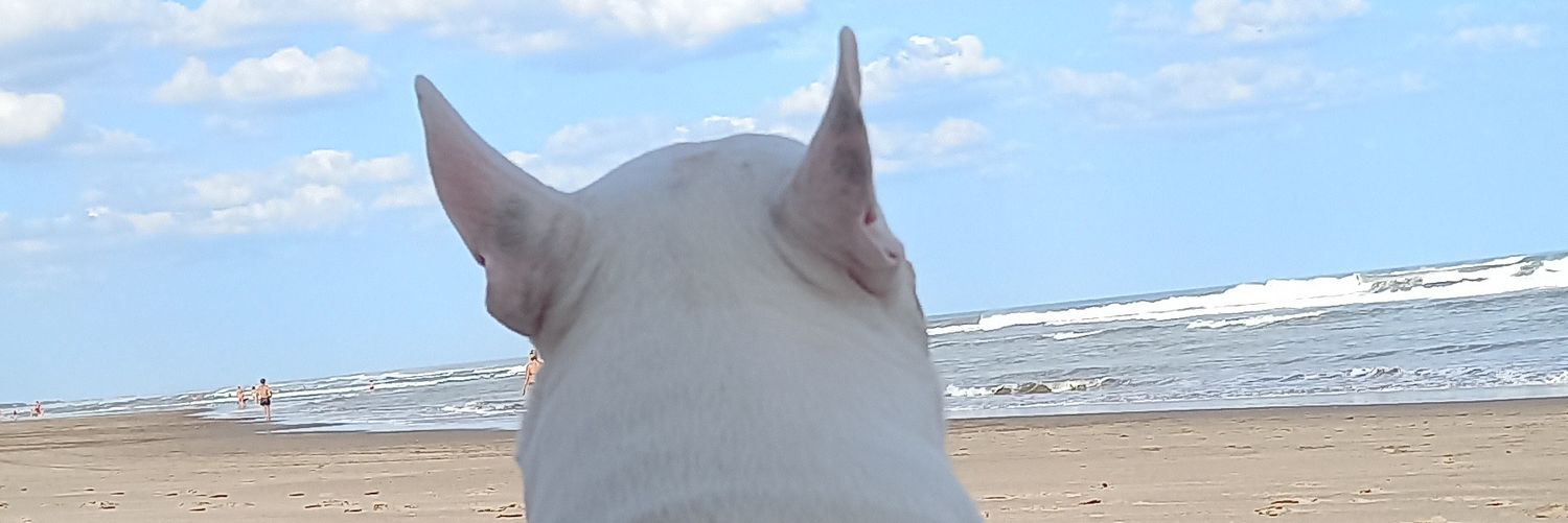 danettlu's profile banner image