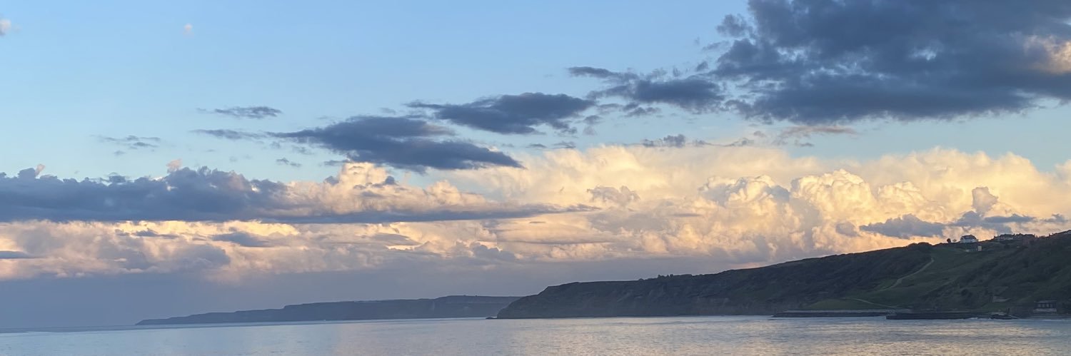 dannischoley's profile banner image