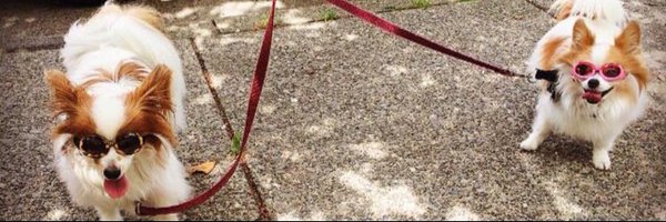 Denatalks Profile Banner