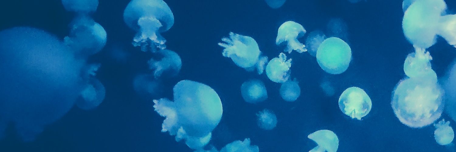 葉桐 banner