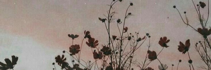 belbeau's profile banner image