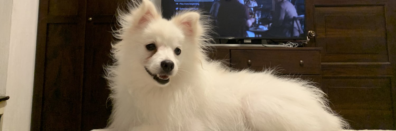 marisara03's profile banner image