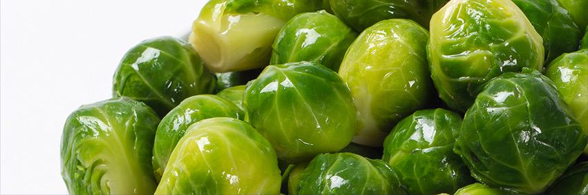 Hanover Foods banner