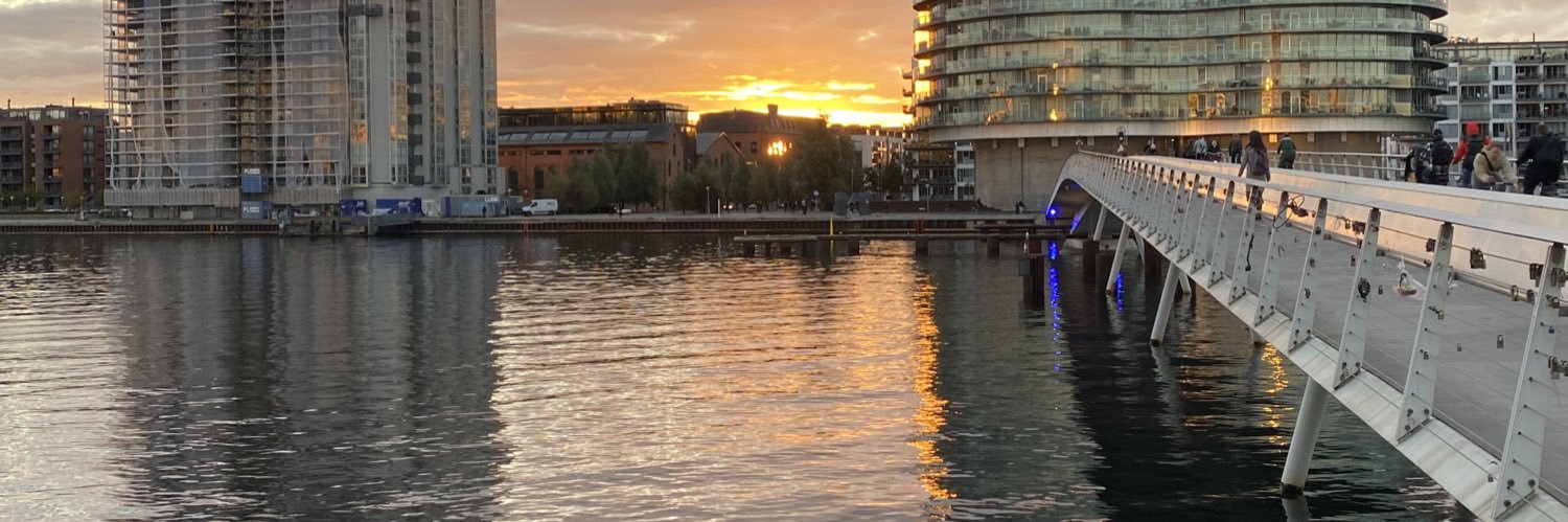 LineRaahauge's profile banner image