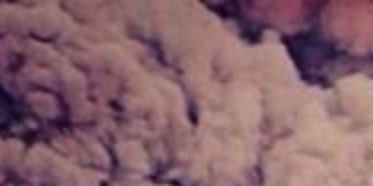 MonaMeeomo's profile banner image