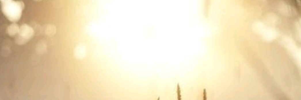 ttofi13035's profile banner image