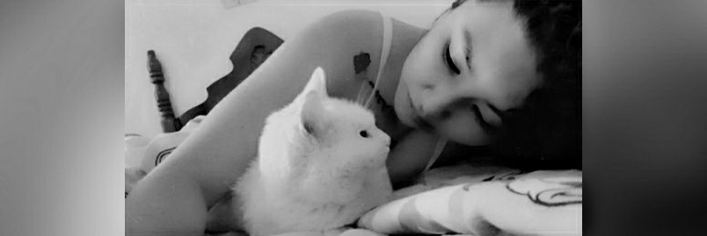 LetrasDeGato's profile banner image