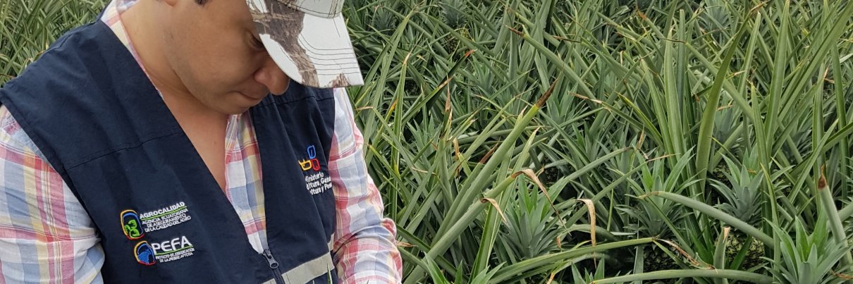 Luisechh's profile banner image