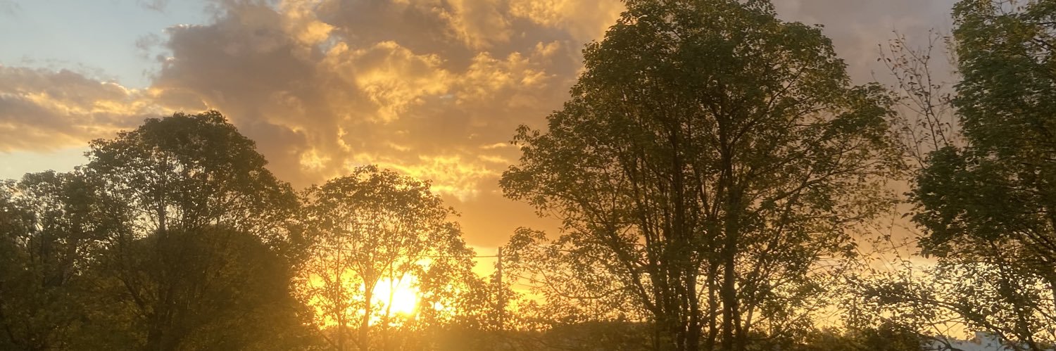 Lu_rabe's profile banner image