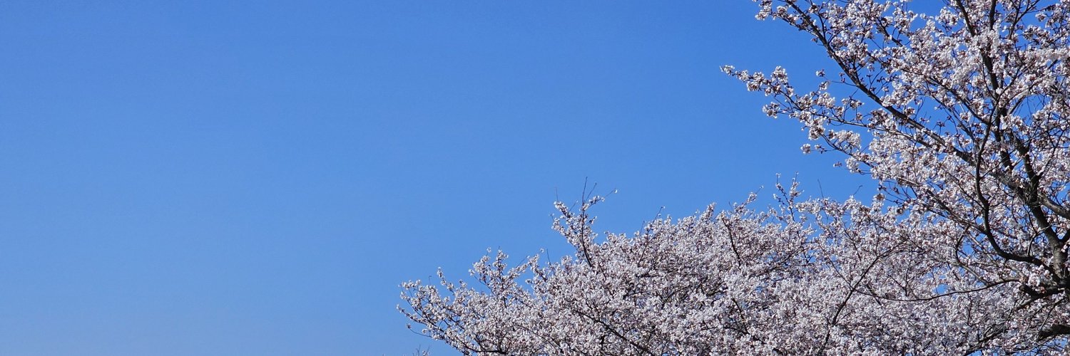 Ruridesu87's profile banner image