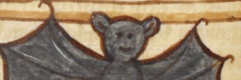 Joe? banner