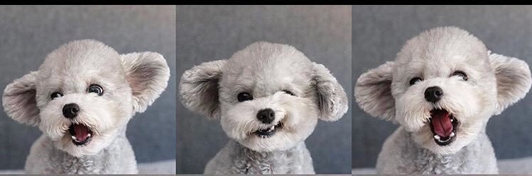 ttboyts's profile banner image