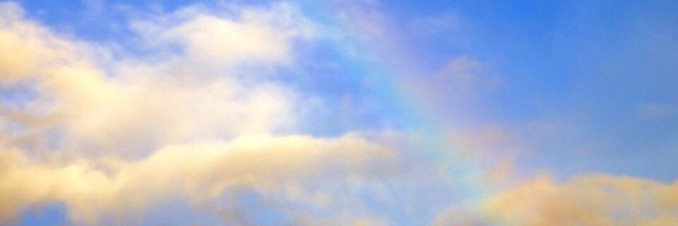 ぶーたん🌈 banner