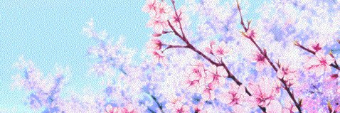 yas_sol's profile banner image