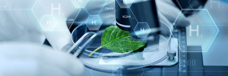 Christopher David banner