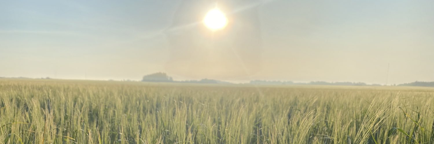 RDCacres's profile banner image