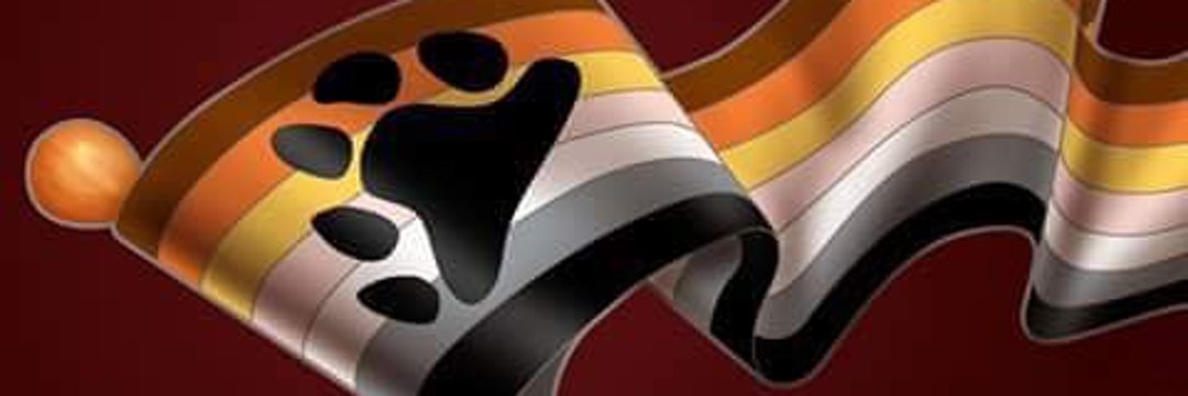 OhioDenn's profile banner image