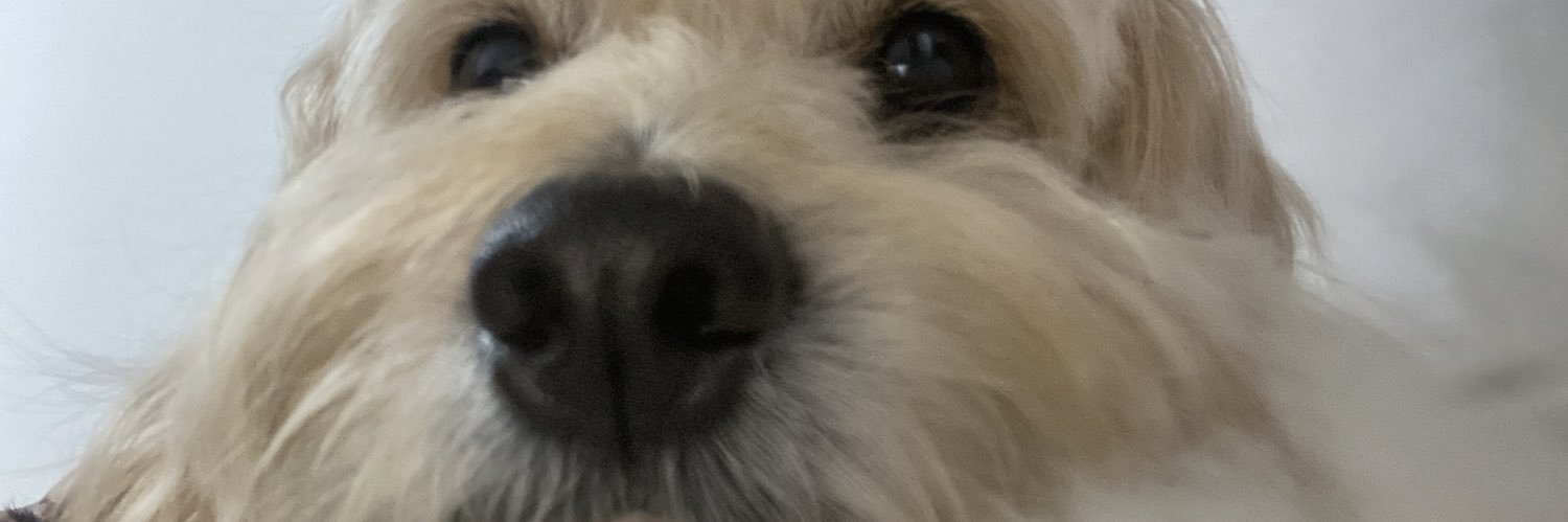 _brubsssss's profile banner image