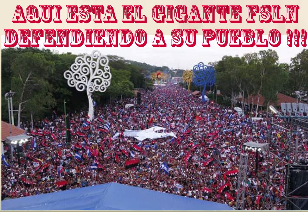 elnicalegal's profile banner image