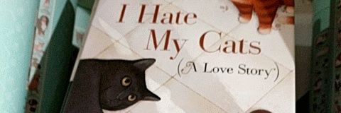 MeanNormaJean's profile banner image