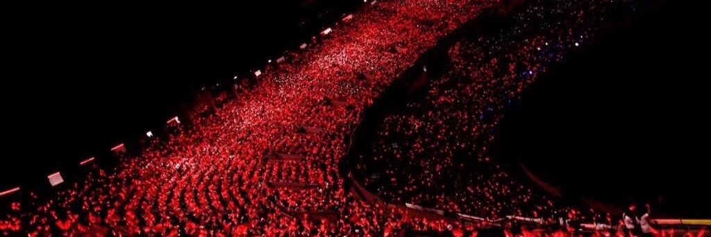 คาวีอะ คาวีที่คล้ายๆแมว banner