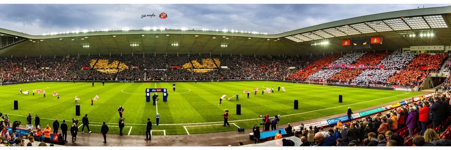 Dual Collections banner