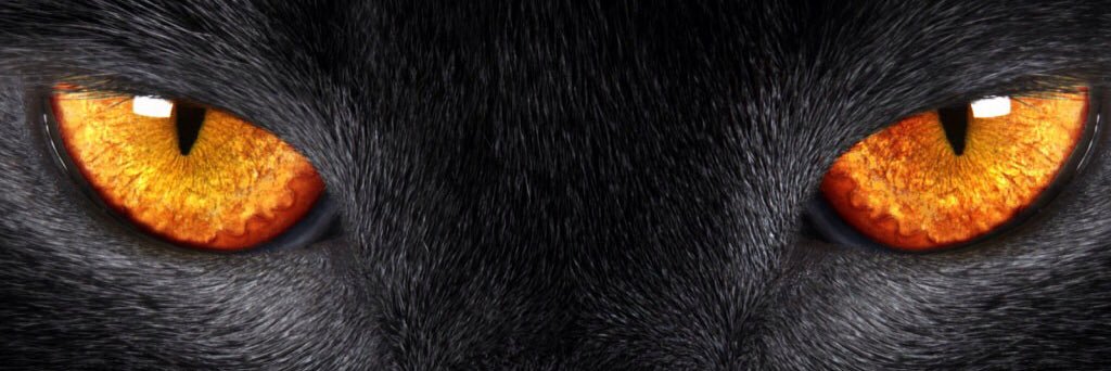 fackingwithme's profile banner image