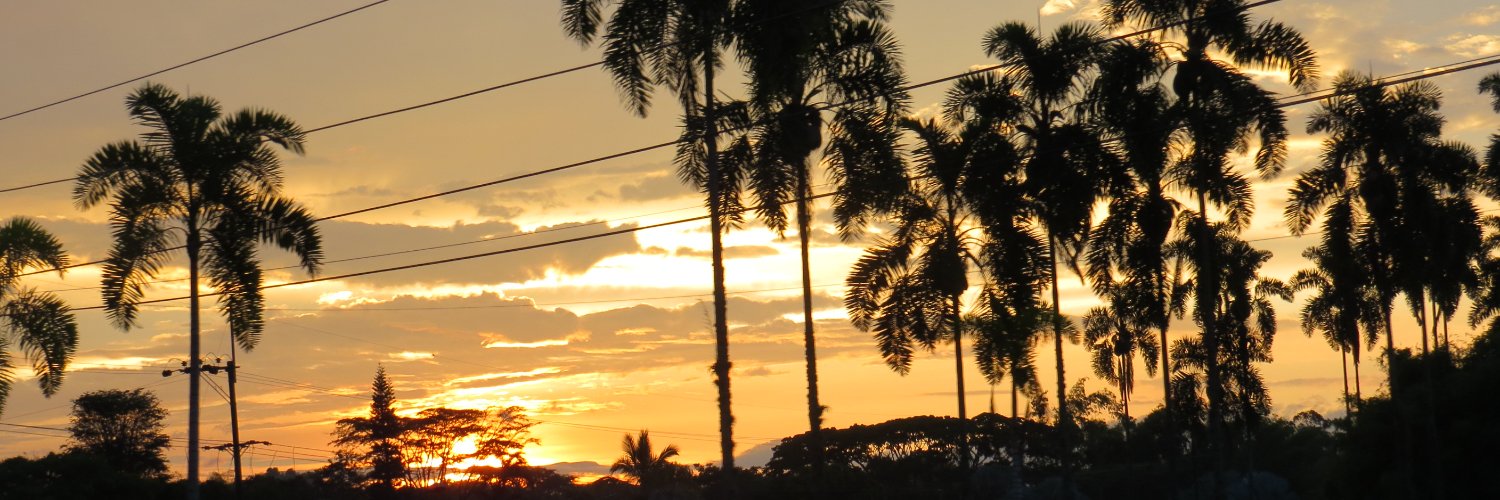 Gonzalo Chalo Hernández banner