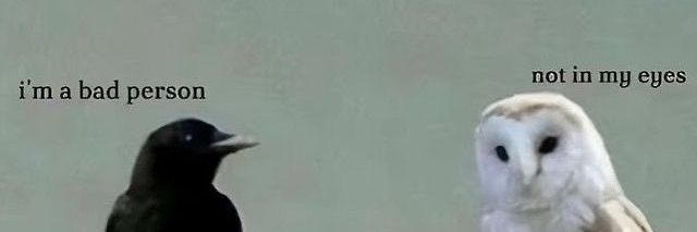 Dex⛽'s banner