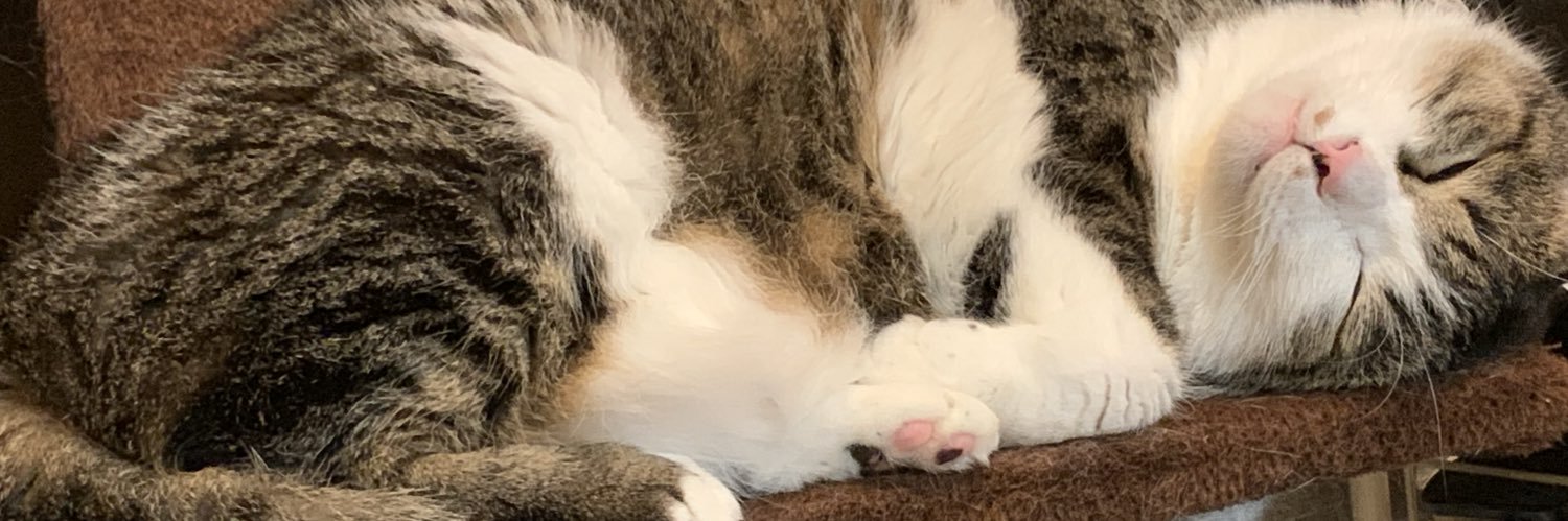 shamMADCAT's profile banner image